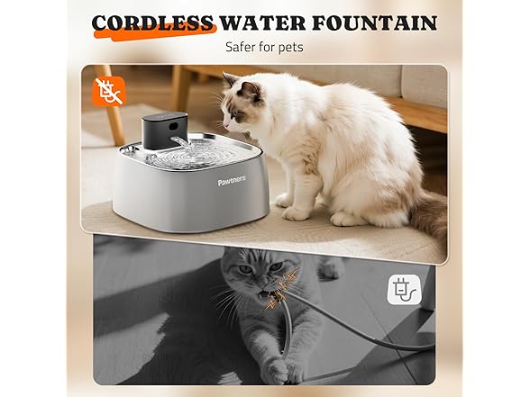 Pawtners Pumpless Cat Water Fountain