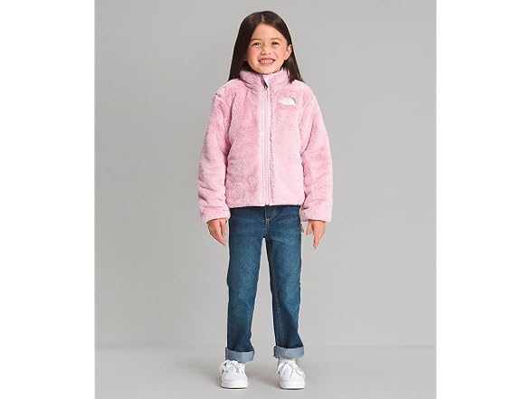 The North Face Reversible Jacket