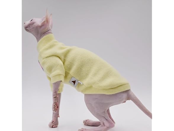 Sphynx Cat Clothes Autumn and Winter Thicken