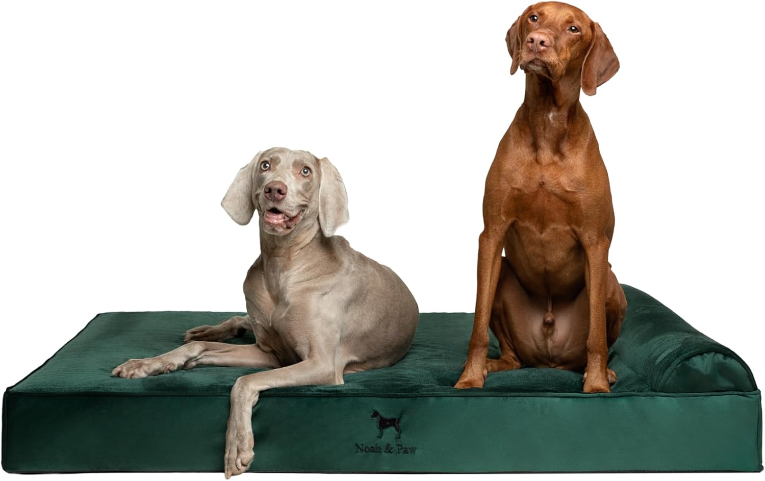 NOAH & PAW Orthopedic Dog Beds- XXLarge - Gallery 11