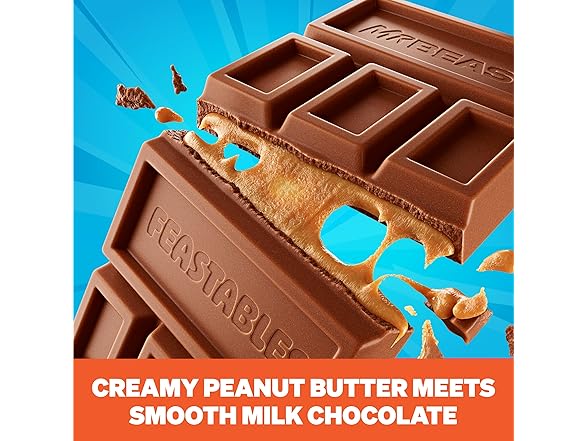 Feastables PB Milk Choc Bar 10ct 2.1oz