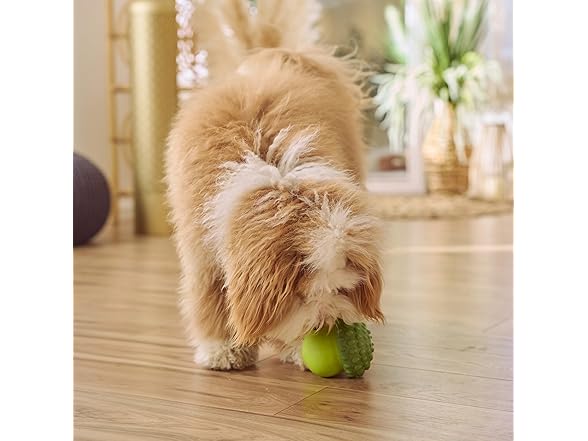 SPOT Treat Tumbler Broccoli – Freezable & Fillable