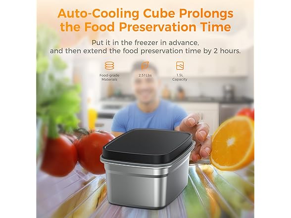 Quessa Cordless Heated Lunch Box