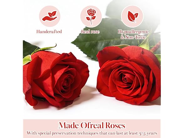 CuteWelt Preserved Roses