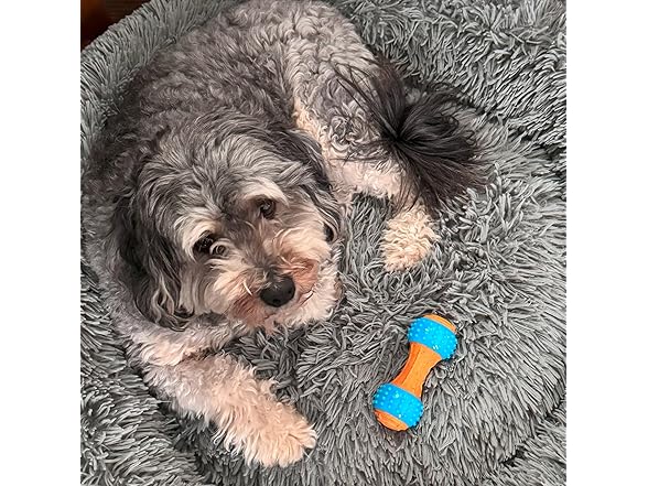 SPOT Bam-Bones Plus Gigglers Dumbbell Durable Dog Chew Toy