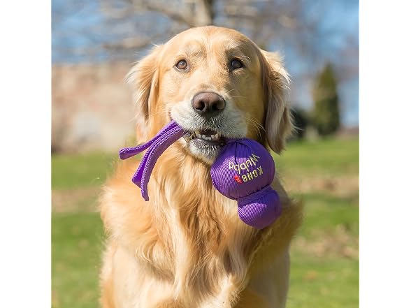 KONG Wubba - Dog Toy for Tug of War & Fetch -