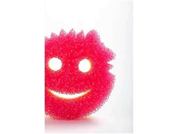 Scrub Daddy 6 Scrub Mommy Kitchen
