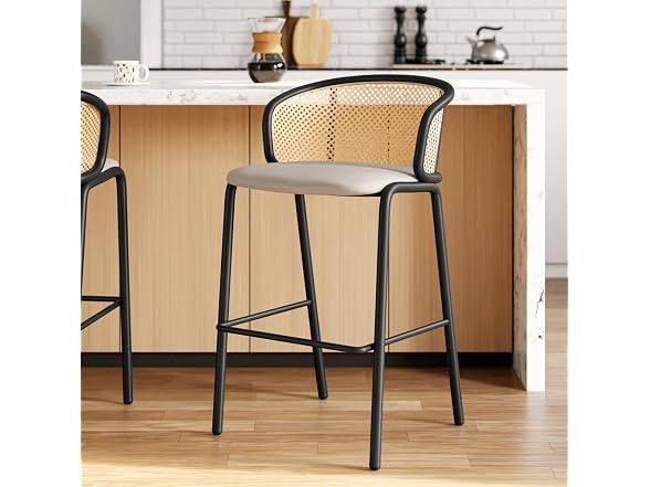 Leisuremod Ervilla Bar Stool w/Black Steel