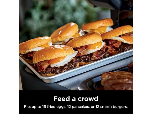 Ninja FlexFlame Pro Griddle Plate