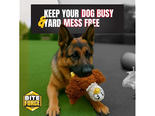Bite Force Dog Chew Toys(2)