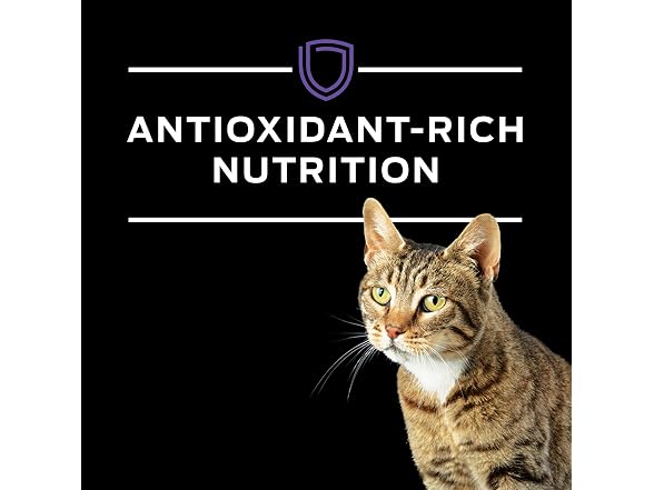 Pro Plan Veterinary Diets Purina DM Diet Cat- 6lb. Bag