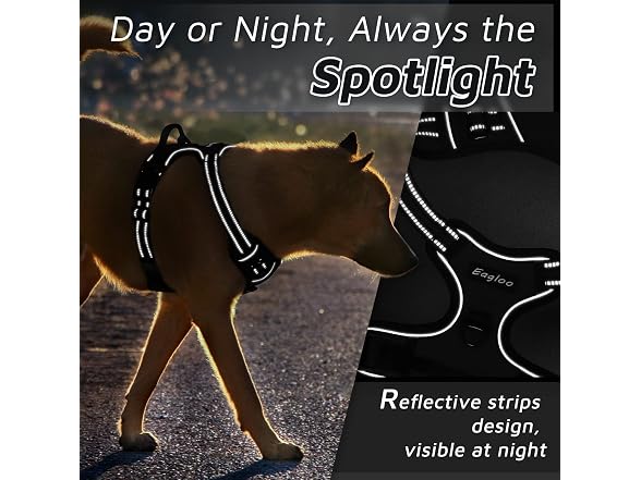 Pet Vest Harness with 2 Leash Clips, Adjusta