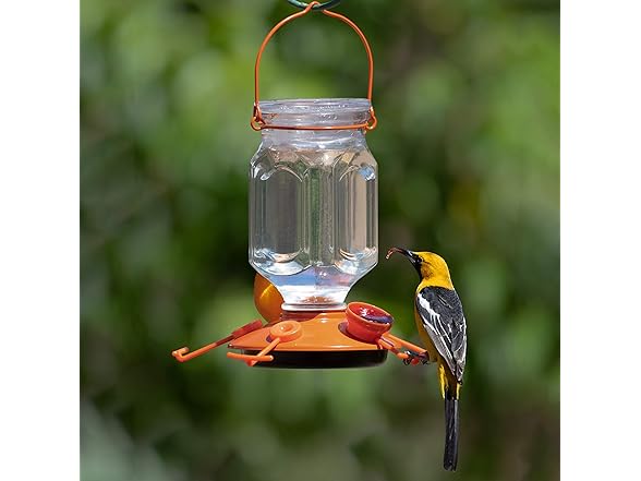 Perky-Pet 9113-2 Top-Fill Glass Oriole Feeder
