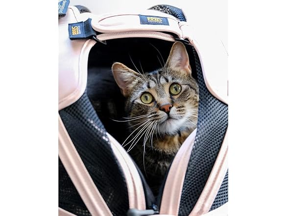 Sleepypod Mobile Pet Bed