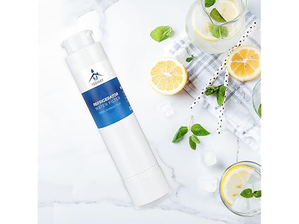 TEEHAY EPTWFU01 Water Filter Replacement