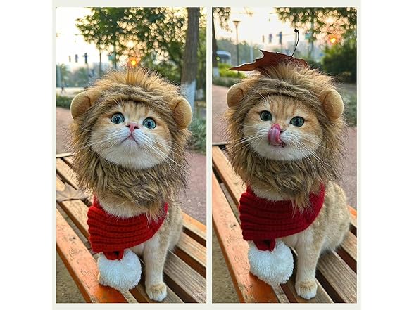 Urnat Lion Mane Cat Wig