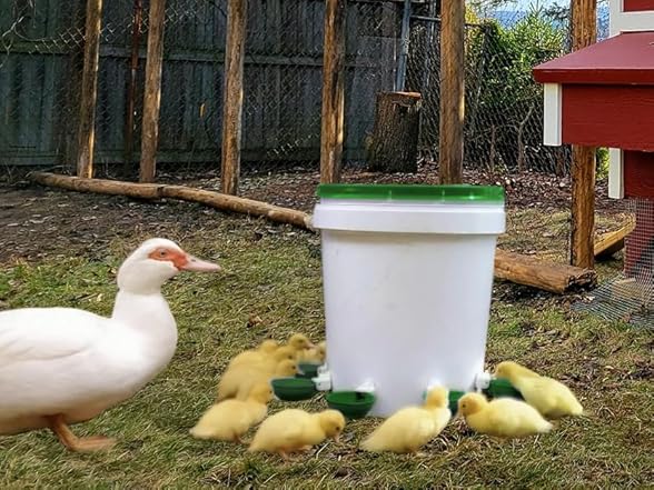 Farmight Automatic Poultry Waterer Kit