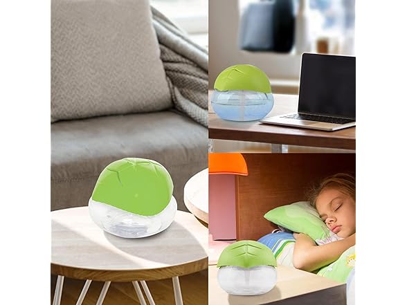 Water-Based Air Purifier Revitalizer