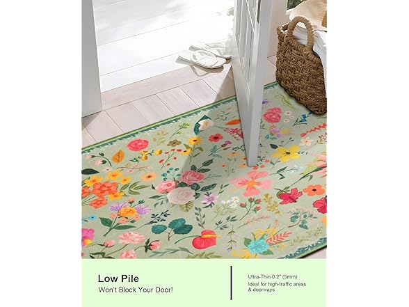CRYPTOLITE Boho Floral Entryway Rug 2x3