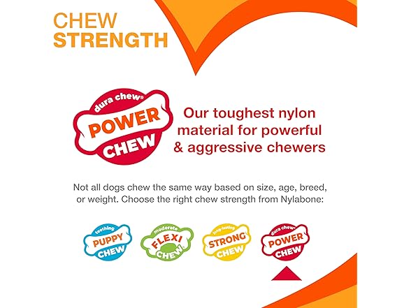 Nylabone Power Chew Original Bone- Medium