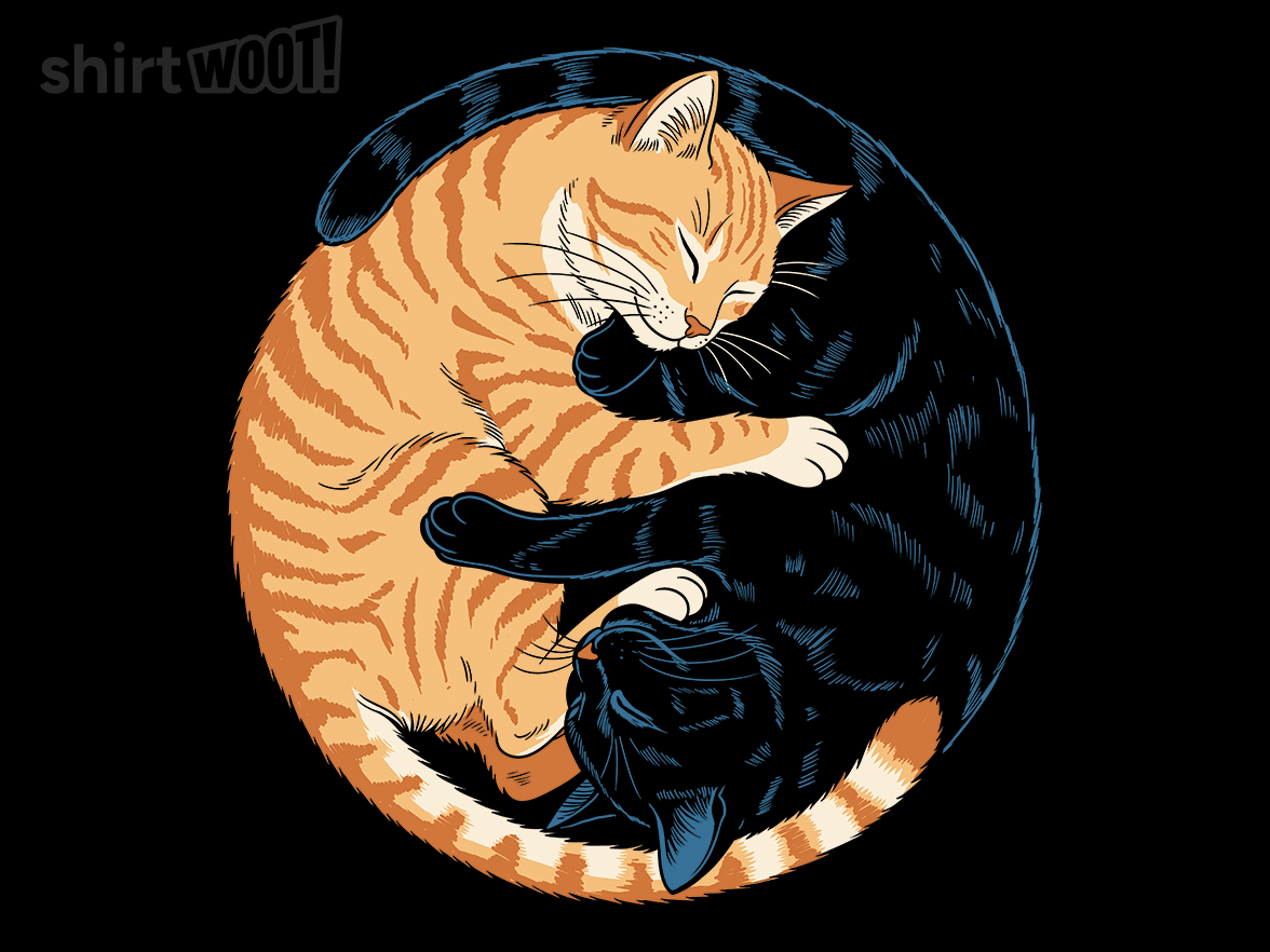 Yin Yang Catnap - Gallery 9