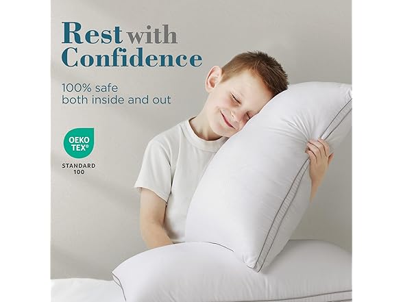 viewstar Bed Pillows Set of 2