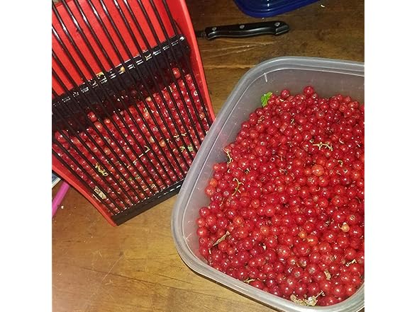 banapoy CON-28 Blueberry Picker