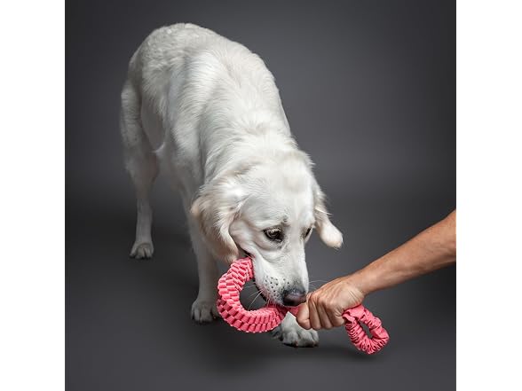 NOAH & PAW Luxury Dog Toy, Dog Rope Toy- Tug Ring, Pink