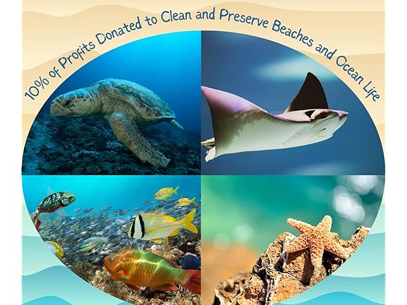 Coastal Vibes 1504 Polarized Mirrored Sunglasses