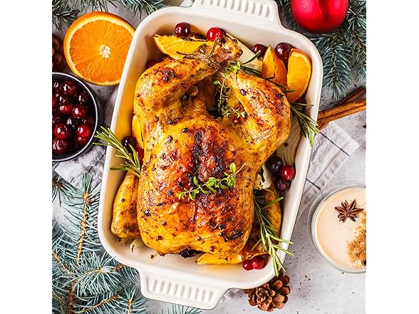 Sunvivi Roaster Oven