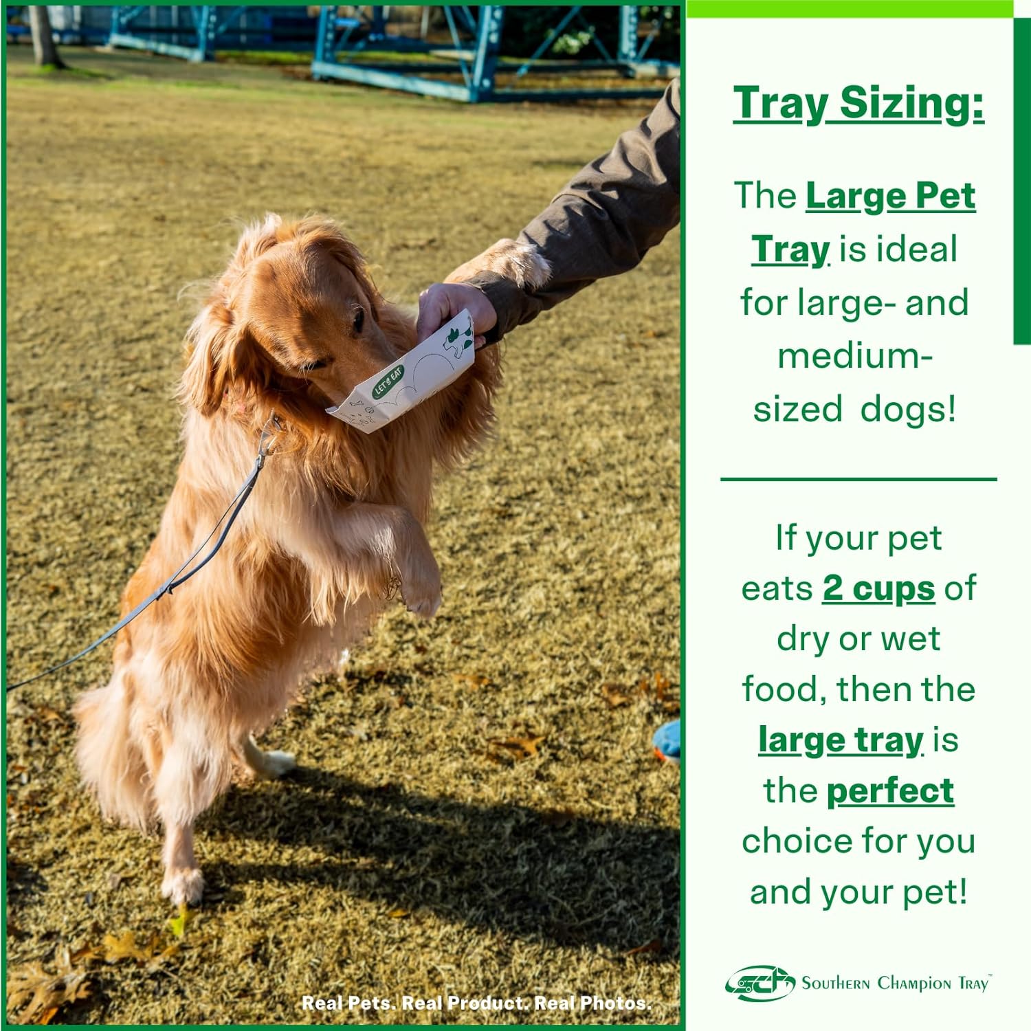 SCT, Disposable Pet Food Bowls - Your Choice - Gallery 16