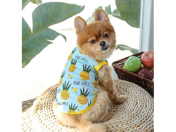 Pet Clothes,Lovely Summer Fruit Dog T-Shirt P