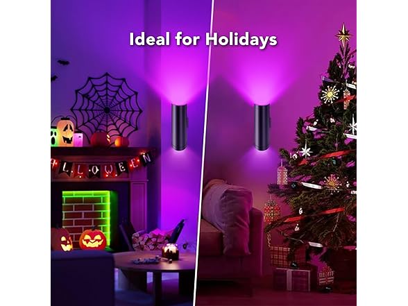 Elenora Wall Sconces -Set of Two
