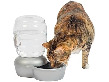 $4.97, Was $22.99, 78% Off! Petmate Replendish Automatic Gravity Waterer dealfomo