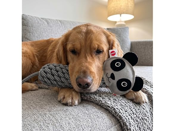 SPOT Dura-Fused Colors Leather Bottle Cruncher Panda Dog Toy