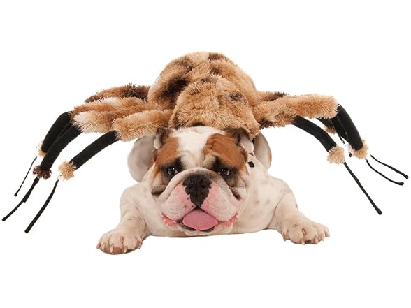 Rubie's Giant Spider Costume for Pets, Medium