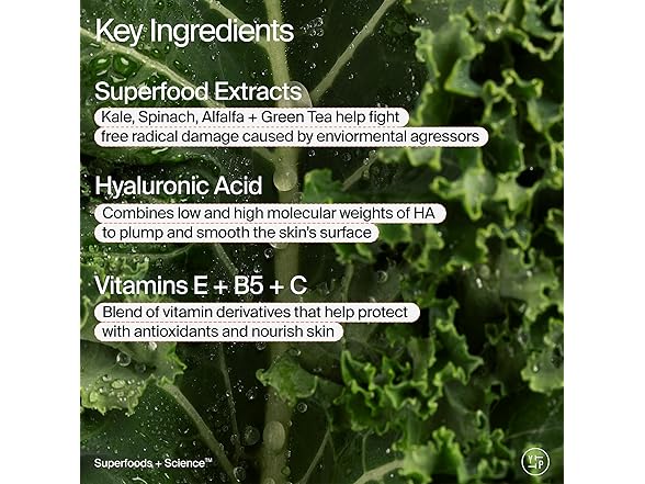 Youth To The People Superfood Air-Whip Moisture Cream