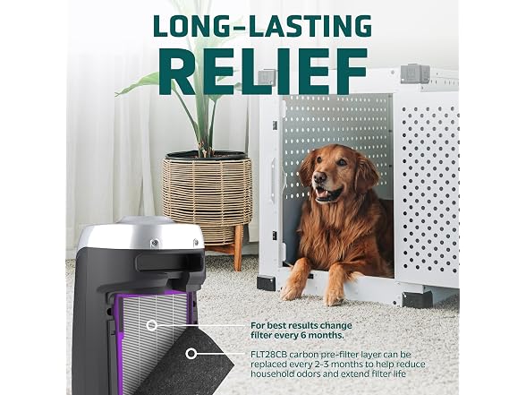 Germ Guardian FLT5250PT True HEPA Genuine Air Purifier Replacement Filter
