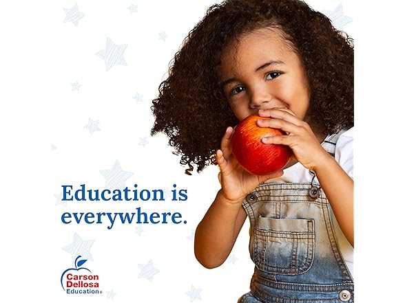 Carson Dellosa Owl Decorative File Folder Set