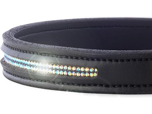 Pet Passion Vegan Leather Dog Collar