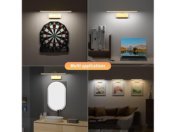 Lightbiz Picture Light for Wall