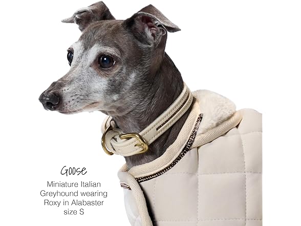 Roxy - The Crystal Bling Collar, Blush