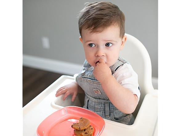 Dr. Brown's Stackable Plates
