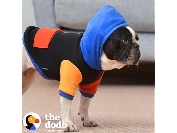 The Dodo Dog Hoodie, Black Colorblock, Size Large