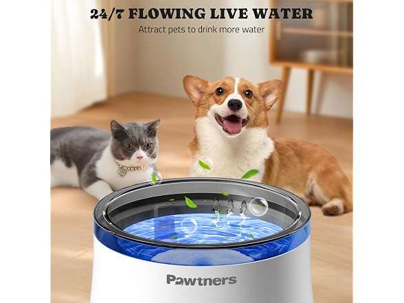 Pawtners 1 Gal/3.5L Dog Water Fountain