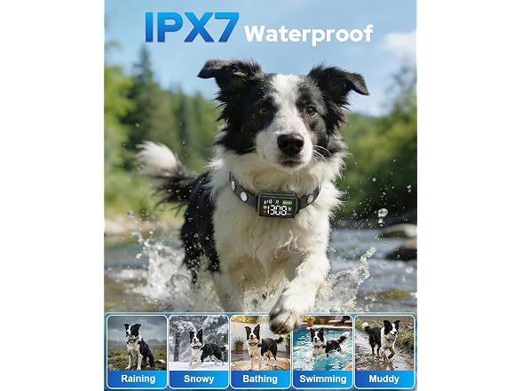 Petutor BC9991260656574 GPS Wireless Dog Fence