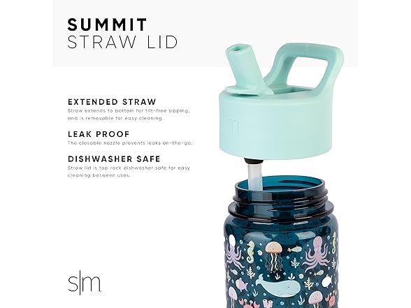 Disney Frozen Kids Water Bottle