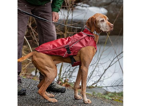 Kurgo Heavy Duty Rain Coat for Dogs