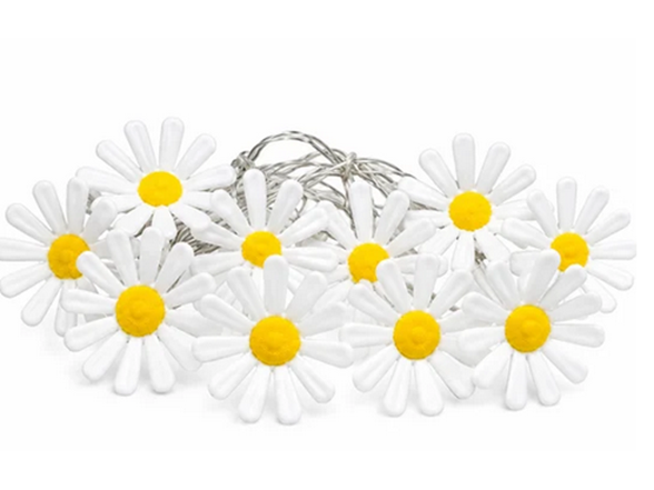 Daisy LED String Lights