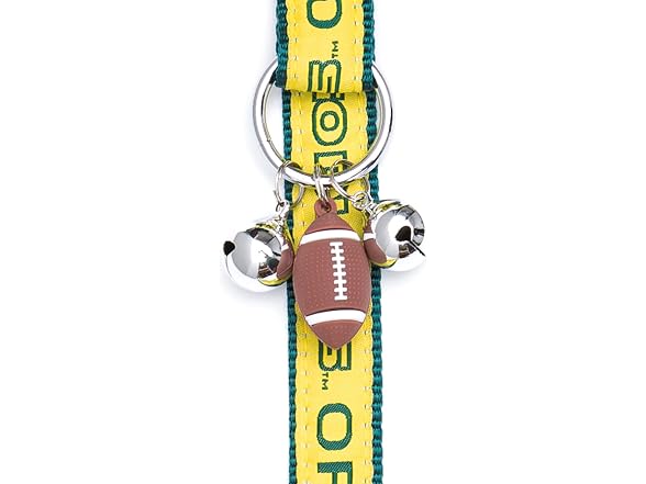 Pets First Collegiate Pet Accessories, Train